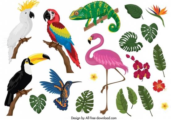 tropical nature design elements animals plants icons