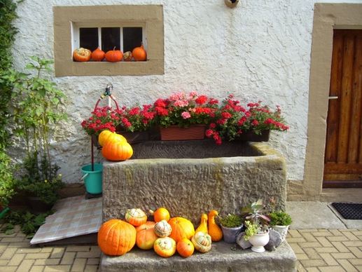 trough floral decorations pumpkins