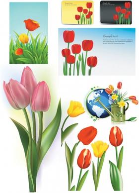 tulip vector
