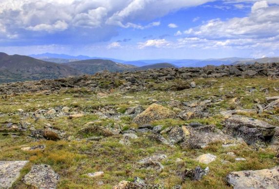 tundra landscape at the summit at rocky mountains national park colorado