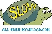 Turtle Slow 2