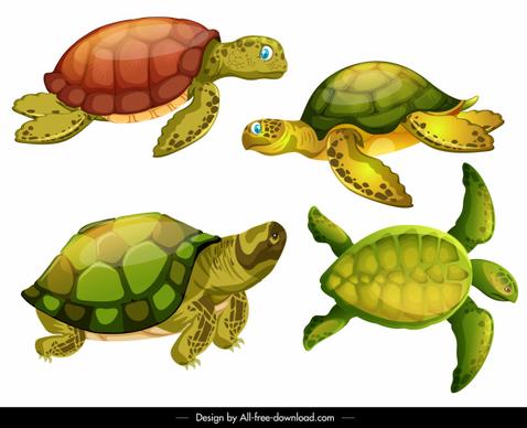 turtle species icons shiny modern colorful sketch