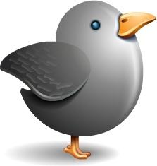 Twitter bird grey