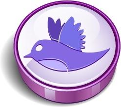 Twitter bird sign purple