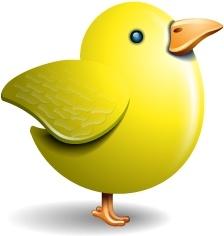 Twitter bird yellow