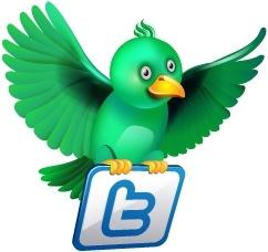 Twitter flying green