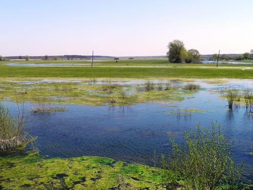 ukraine wetland landscape