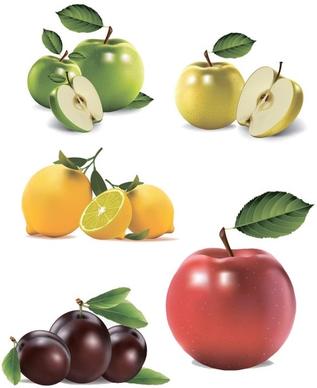 ultrarealistic fruit vector