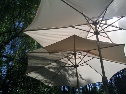 umbrella sunlight sun