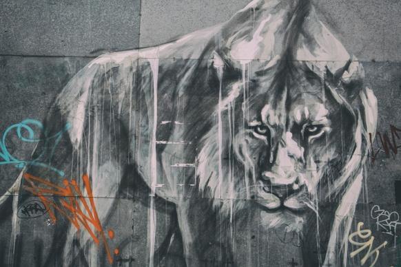 urban lion