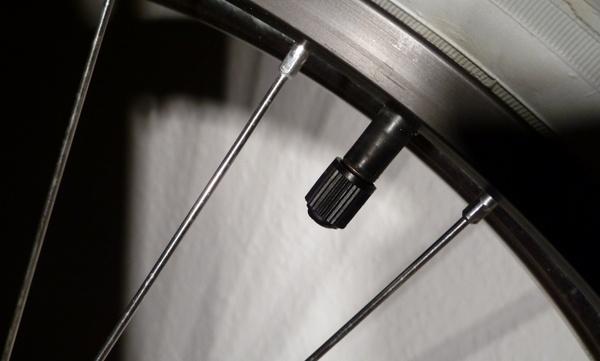 valve wheel mature