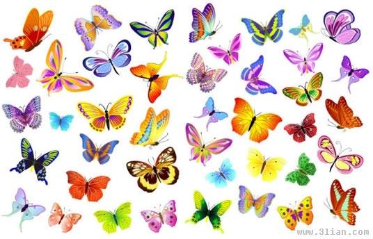 butterflies icons collection colorful decor