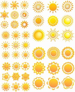 variety of sunflower patterns vector