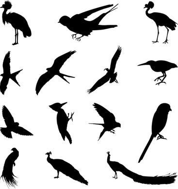 various birds silhouettes vector set
