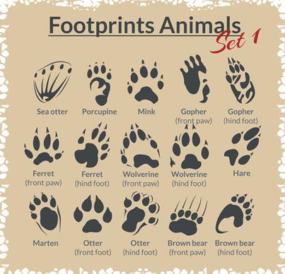 various footprints animals design vectors
