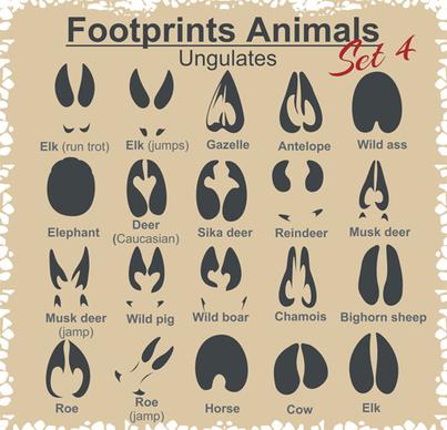 various footprints animals design vectors