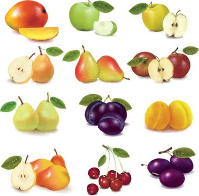 various fresh fruit design elements vector