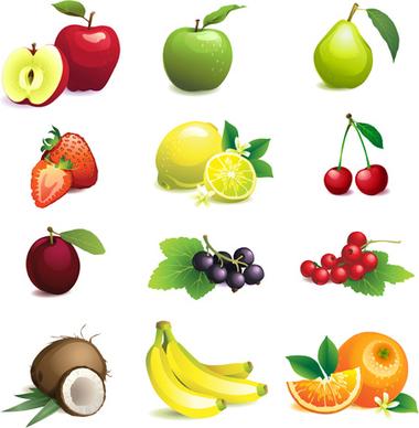 various fresh fruit icons vector