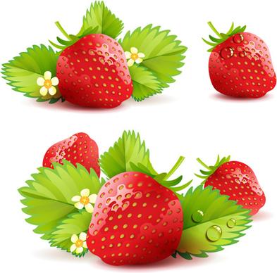 various fresh fruits design vector