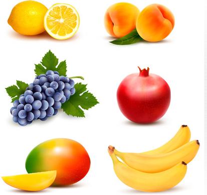 various fresh fruits vector design