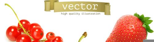 various juicy fruits illustration vector