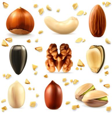 various nuts realistic vector set