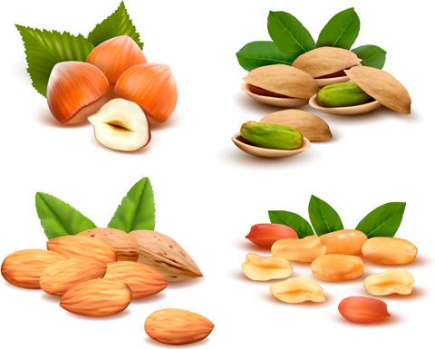 various nuts set vectors