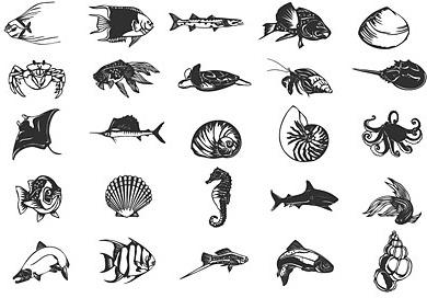 various ocean small animals design vector