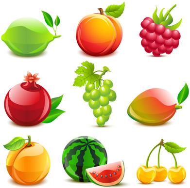various tasty fruit elements vector