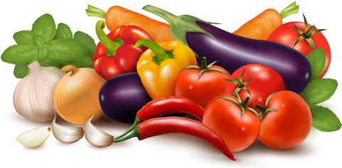 various vegetable vector art background