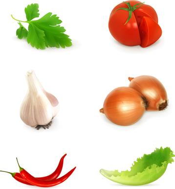 various vegetables design vectors