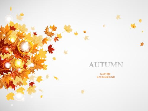 vector autumn leaves background graphic