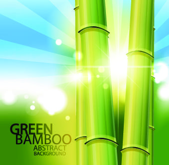 vector bamboo design elements background
