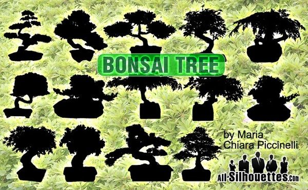Vector Bonsai Tree
