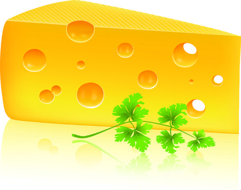 vector cheese design elements