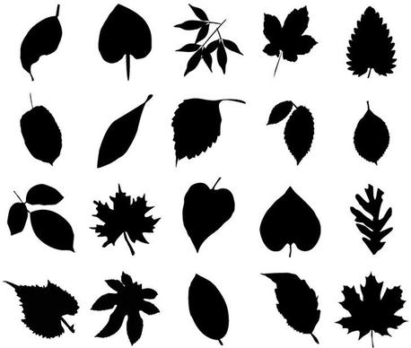 vector collection of leaf silhouettes