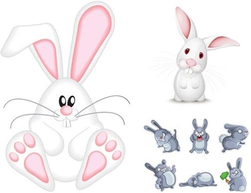 vector cute rabbit
