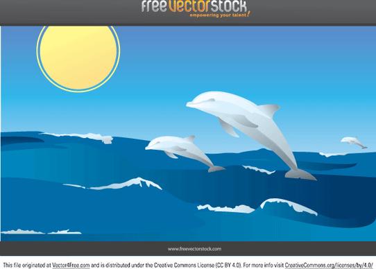 vector dolphins