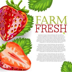vector farm fresh fruit background design