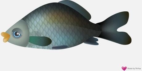 Vector Fish - Carp
