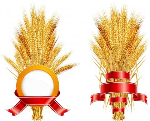agriculture logotypes shiny modern 3d ribbon wheat sketch