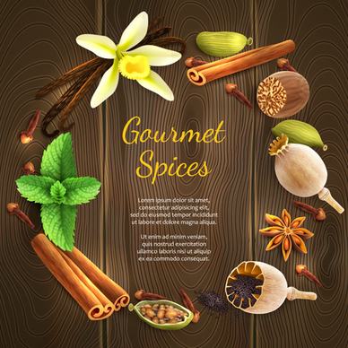 vector gourmet spices background