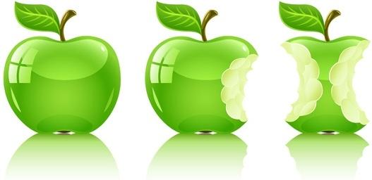 vector green apple