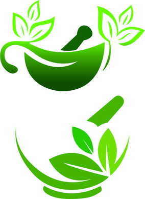 vector herbal logo