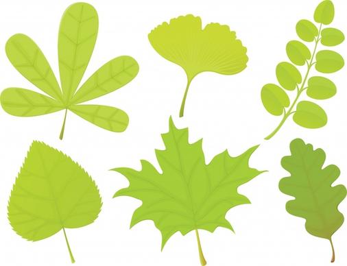 leaf shapes icons modern bright green design