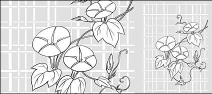 Vector line drawing of flowers-26(Morning glory, lattice background)