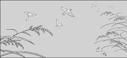 Vector line drawing of flowers-33(Rice, birds)