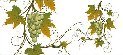 Vector material vines