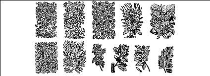 Vector plant material elements of black and white