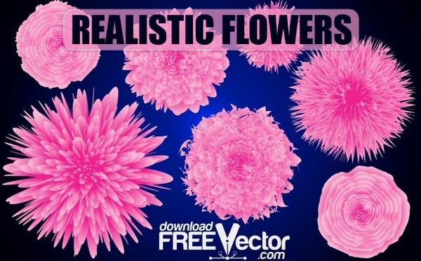 Vector Realistic Flowers